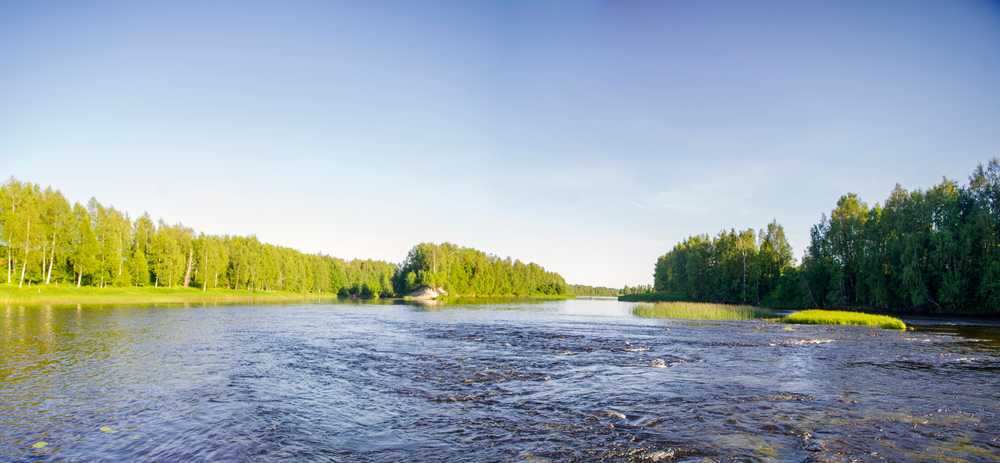 Sjö med skog runtom i dagsljus