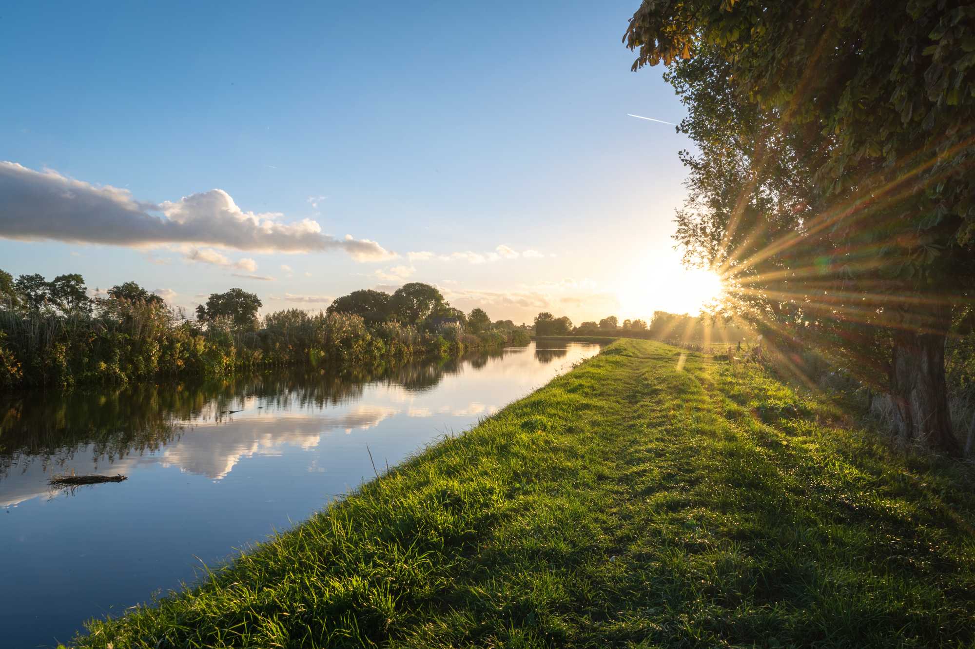 Solen skiner i naturen över gräs och vatten